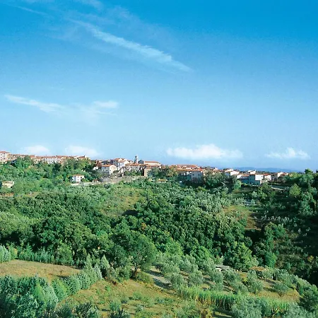 Il Felciaione-22 By Interhome